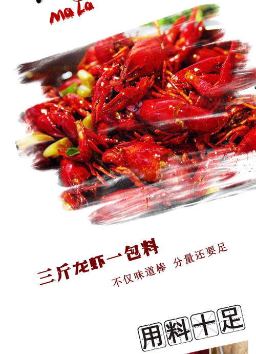 海底撈麻辣小龍蝦調(diào)味料200g 1袋 三斤龍蝦一包料 先麻后辣 一口一個(gè)停不下 包郵